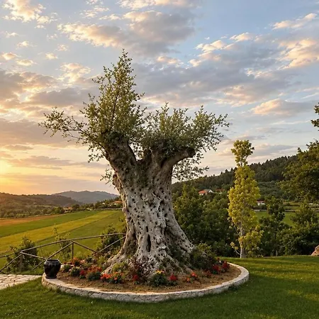 Hotel Mugull Agrotourism Tirana