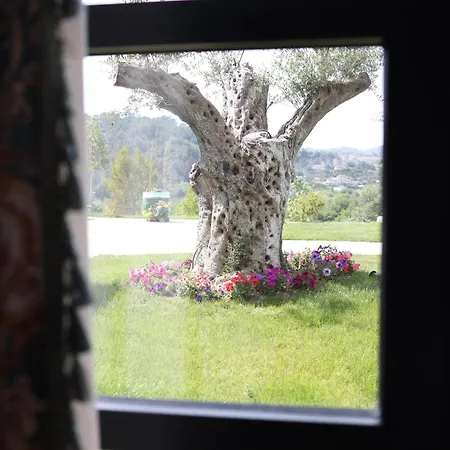 Hotel Mugull Agrotourism *