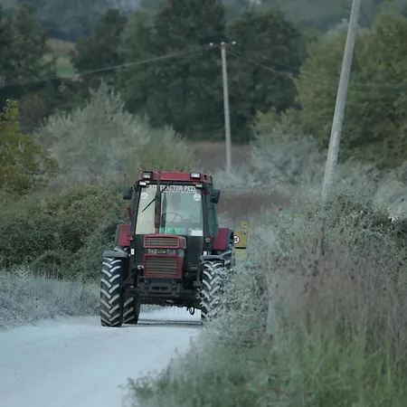 Mugull Agrotourism *